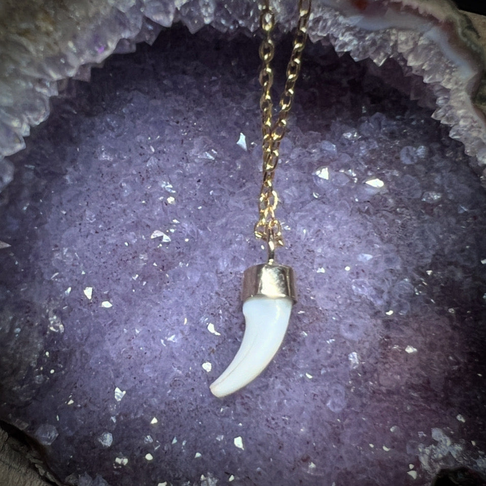 Tooth pendant